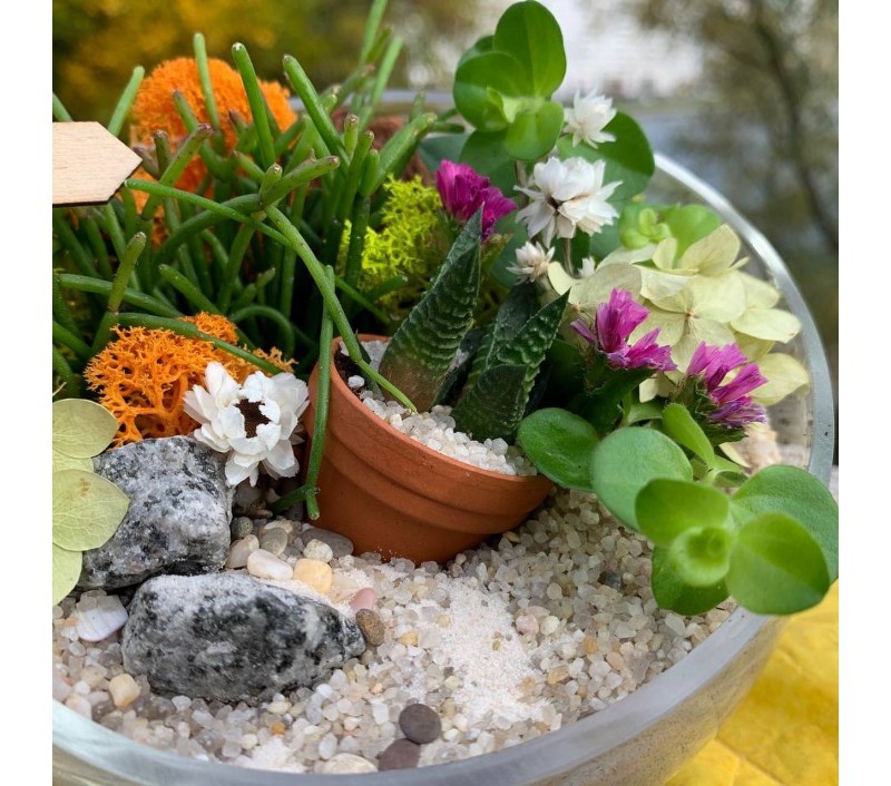 Флорариум "Мини-сад" "Амели" арт. 048