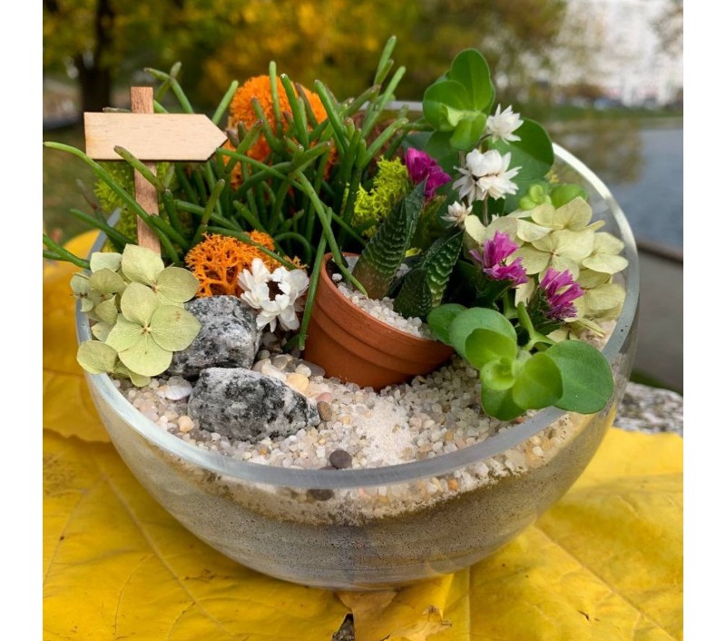 Флорариум "Мини-сад" "Амели" арт. 048