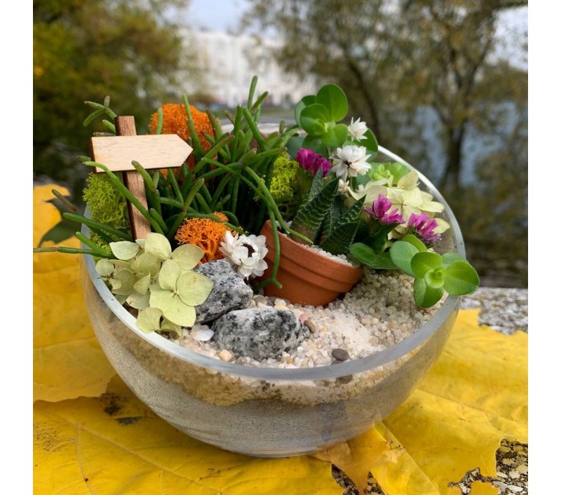 Флорариум "Мини-сад" "Амели" арт. 048