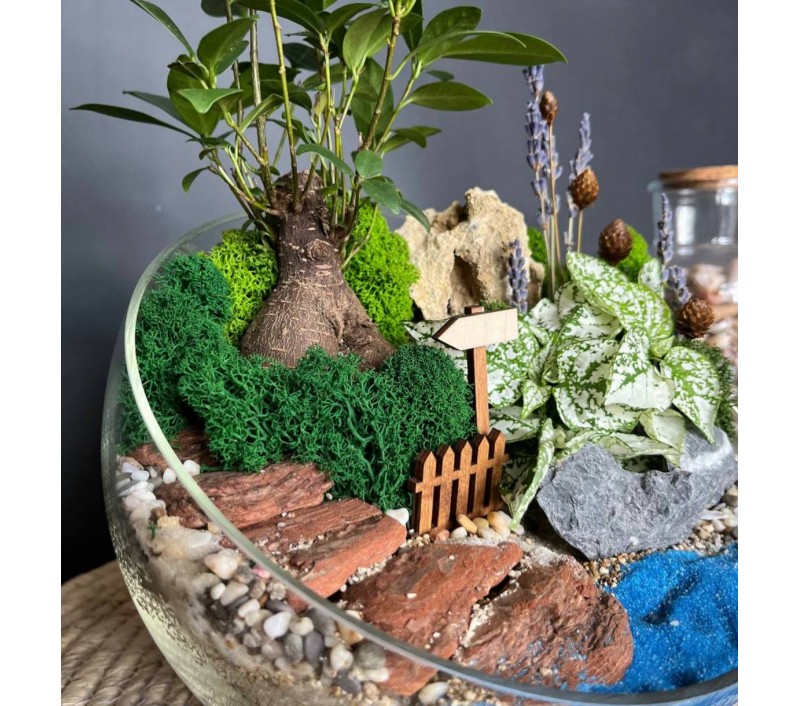Флорариум "Мини-сад" "Синтра" с бонсаем - фикусом Гинсенг и гастерией арт. 007