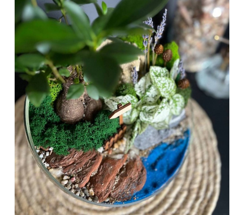 Флорариум "Мини-сад" "Синтра" с бонсаем - фикусом Гинсенг и гастерией арт. 007