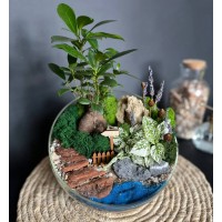 Флорариум "Мини-сад" "Синтра" с бонсаем - фикусом Гинсенг и гастерией арт. 007