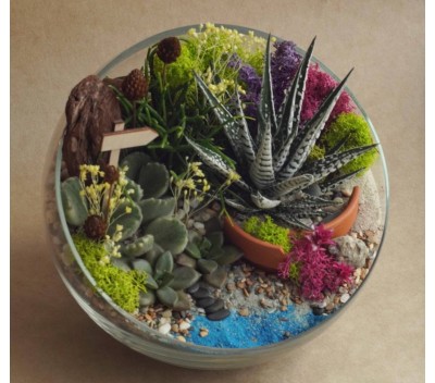 Флорариум "Мини-сад" "Катана" с хавортией Альба арт. 006