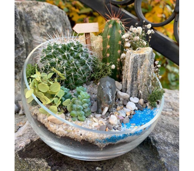 Флорариум "Мини-сад" с носорогом арт. 052