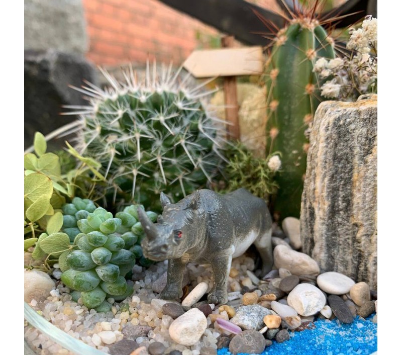 Флорариум "Мини-сад" с носорогом арт. 052