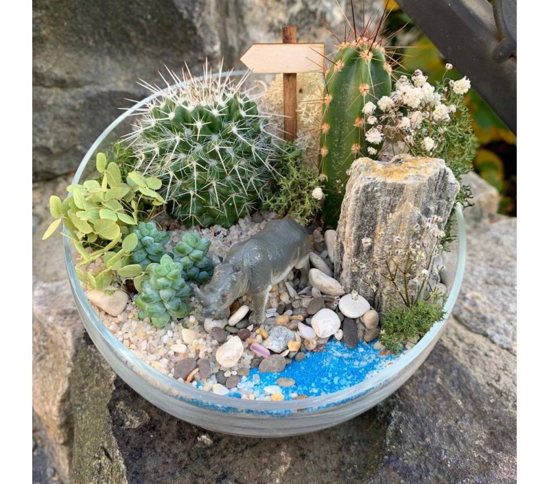 Флорариум "Мини-сад" с носорогом арт. 052
