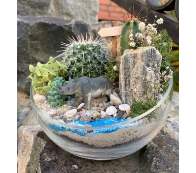 Флорариум "Мини-сад" с носорогом арт. 052