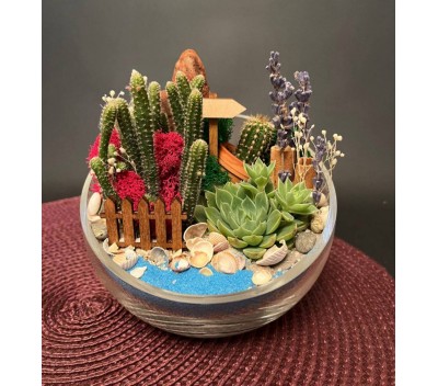 Флорариум "Мини-сад" "Нежность" арт. 054