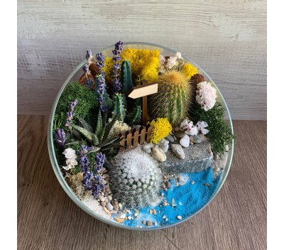 Флорариум "Мини-сад" "Морская прохлада" арт. 058