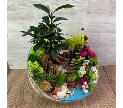 Флорариум "Мини-сад" "Тропический остров" с бонсаем - фикусом Гинсенг, пеперомией и суккулентами арт. 064