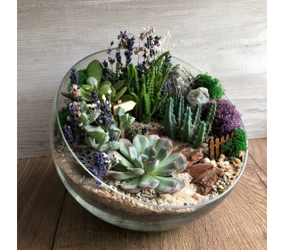 Флорариум "Мини-сад" "Санторини" арт. 066