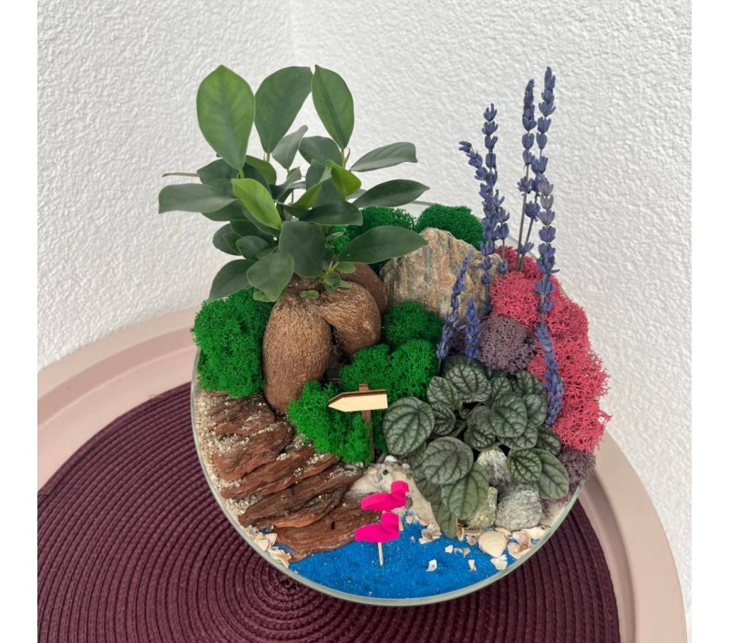 Флорариум "Мини-сад" "Прованс" бонсаем -фикусом Гинсенг и пеперомией арт. 003