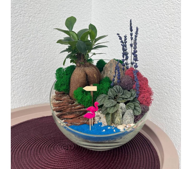 Флорариум "Мини-сад" "Прованс" бонсаем -фикусом Гинсенг и пеперомией арт. 003