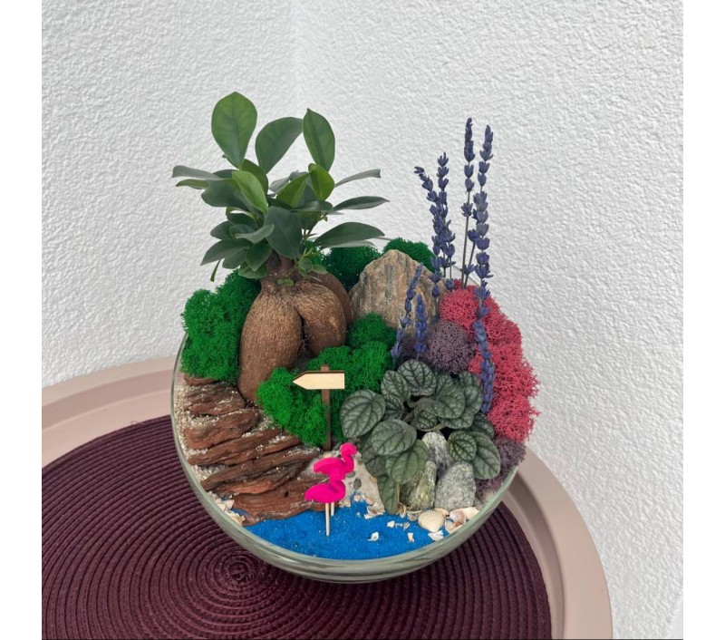 Флорариум "Мини-сад" "Прованс" бонсаем -фикусом Гинсенг и пеперомией арт. 003