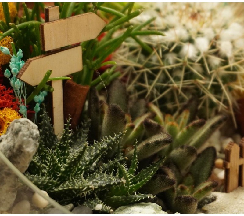 Флорариум "Мини-сад" "Гавайи" арт. 009