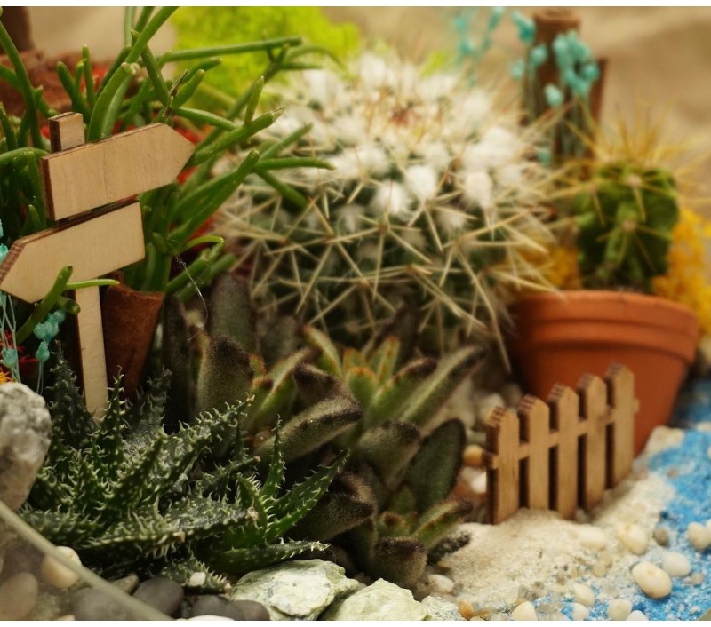 Флорариум "Мини-сад" "Гавайи" арт. 009