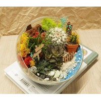 Флорариум "Мини-сад" "Гавайи" арт. 009