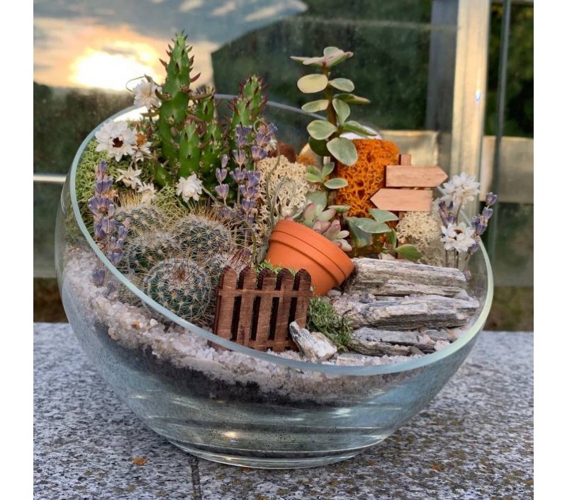 Флорариум "Мини-сад" "Летний закат" арт. 010