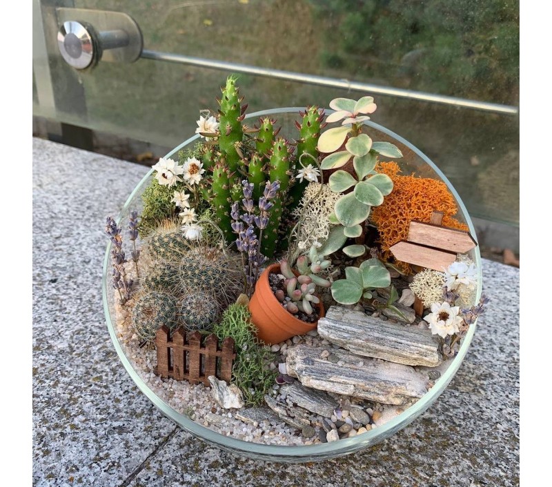 Флорариум "Мини-сад" "Летний закат" арт. 010
