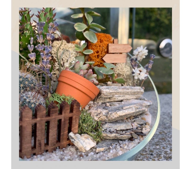 Флорариум "Мини-сад" "Летний закат" арт. 010