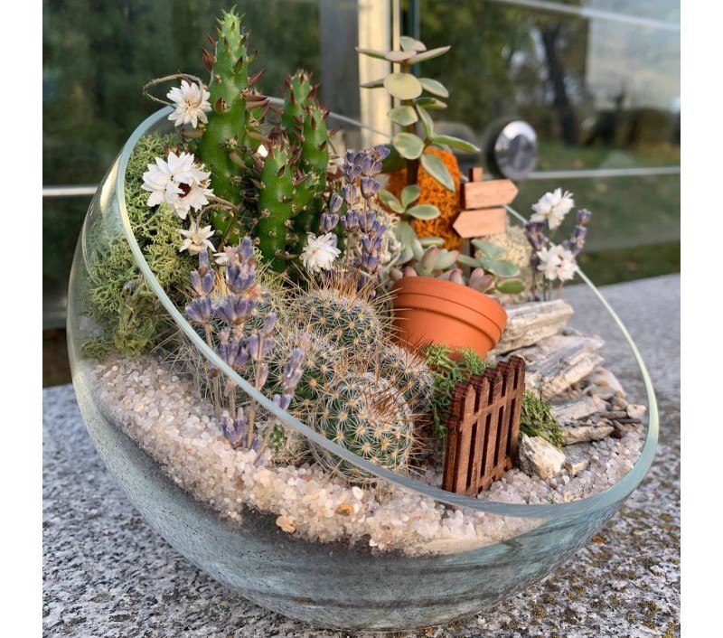 Флорариум "Мини-сад" "Летний закат" арт. 010