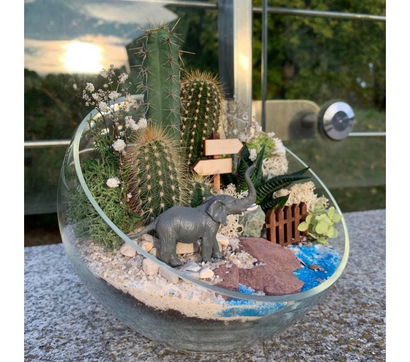 Флорариум "Мини-сад" со слоном арт. 011