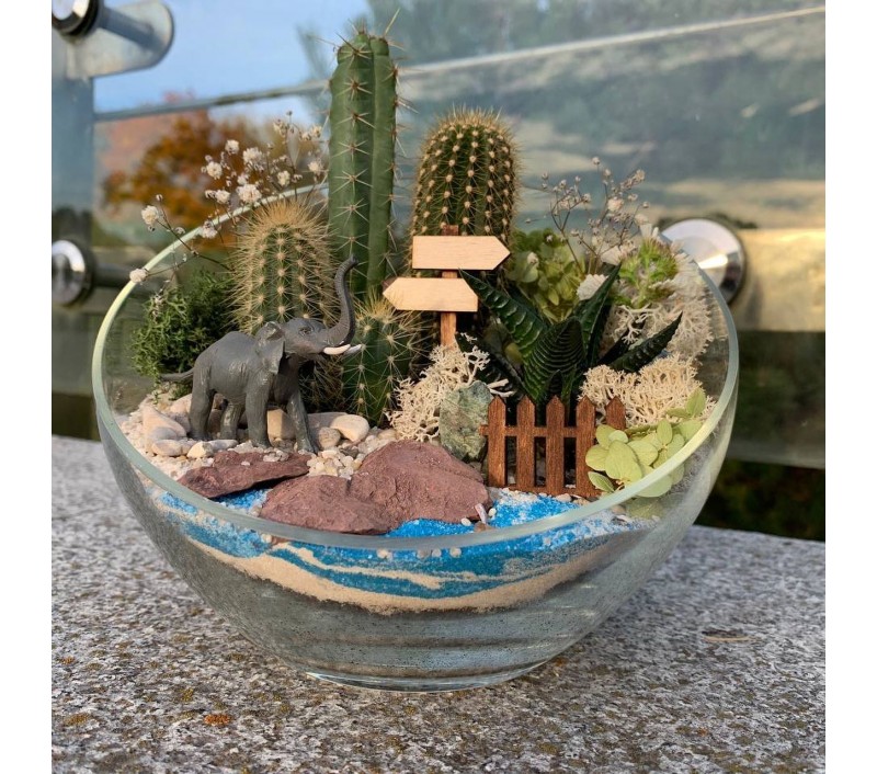 Флорариум "Мини-сад" со слоном арт. 011