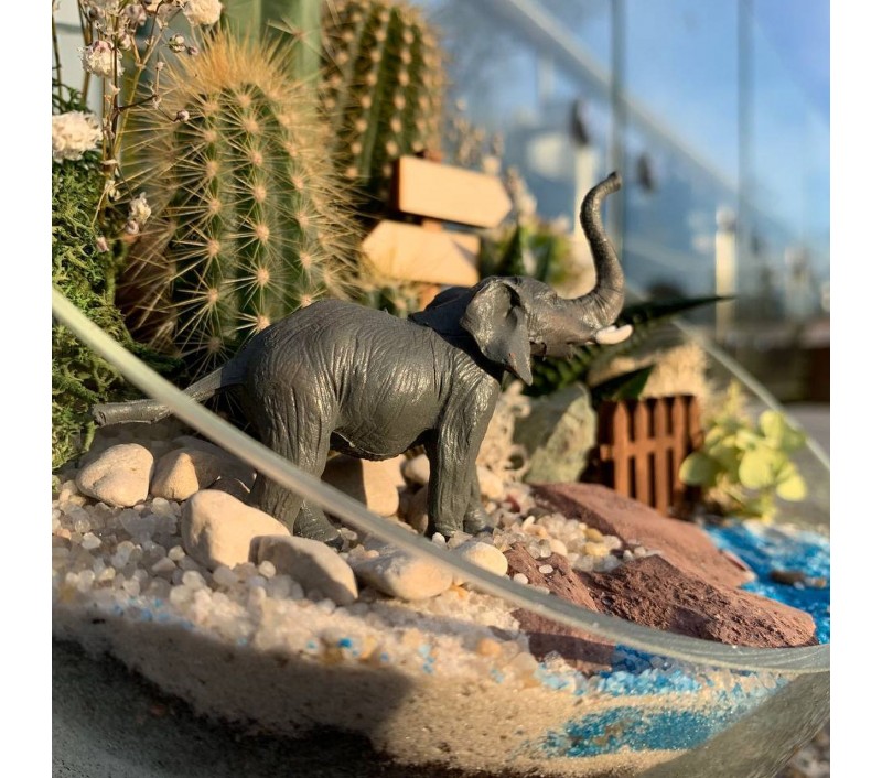 Флорариум "Мини-сад" со слоном арт. 011