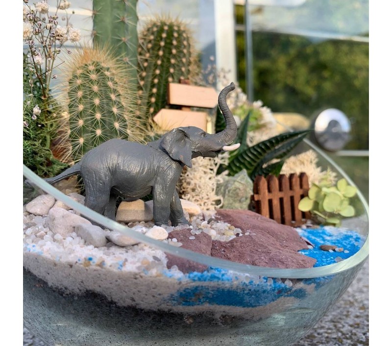 Флорариум "Мини-сад" со слоном арт. 011