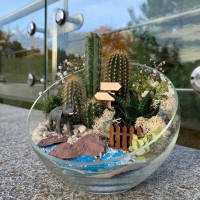 Флорариум "Мини-сад" со слоном арт. 011