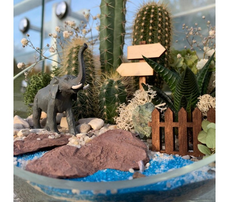 Флорариум "Мини-сад" со слоном арт. 011
