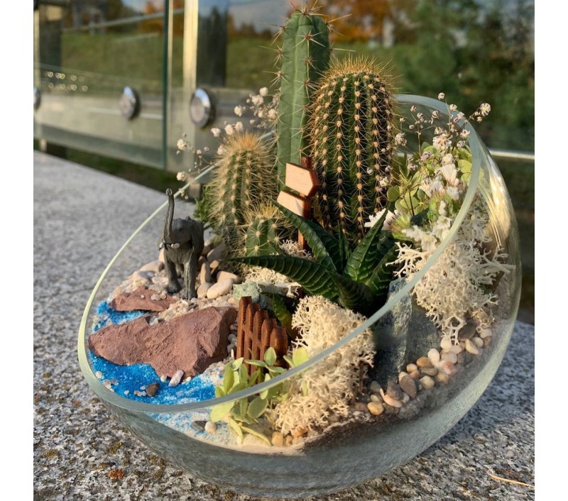 Флорариум "Мини-сад" со слоном арт. 011