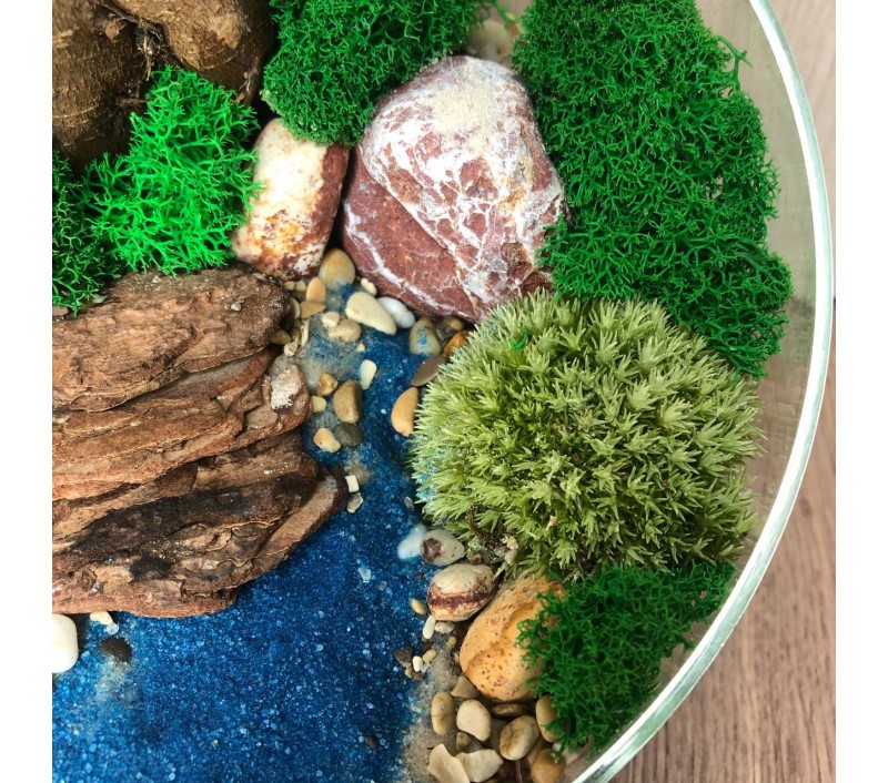 Флорариум "Мини-сад" "Мальдивы" с бонсаем - фикусом Гинсенг арт. 076