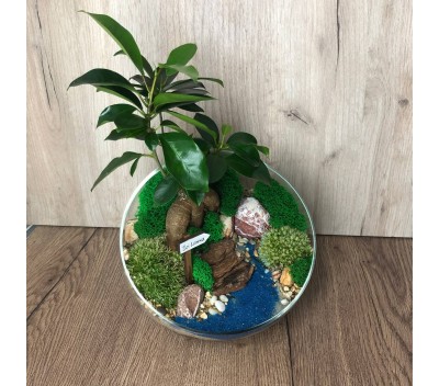 Флорариум "Мини-сад" "Мальдивы" с бонсаем - фикусом Гинсенг арт. 076