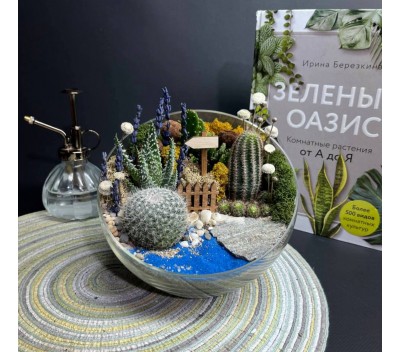 Флорариум "Мини-сад" "Морской" арт. 012