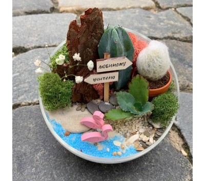 Флорариум "Мини-сад" "Оазис" арт. 014