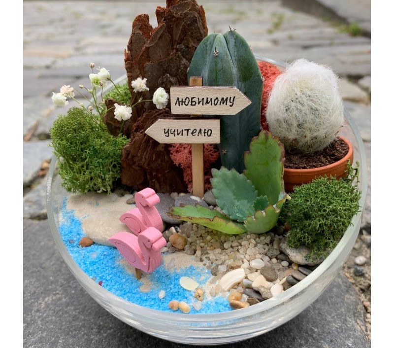 Флорариум "Мини-сад" "Оазис" арт. 014