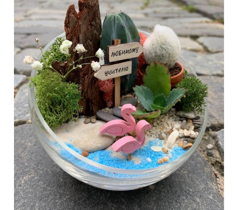 Флорариум "Мини-сад" "Оазис" арт. 014