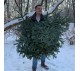 Основа для новогоднего венка из нобилиса арт. 038