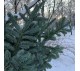Основа для новогоднего венка из нобилиса арт. 038