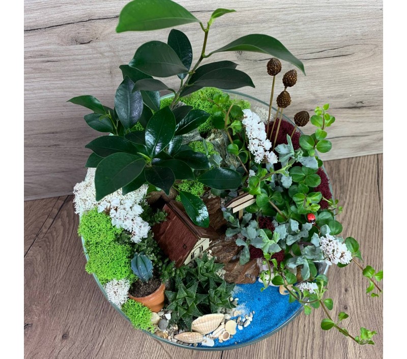 Флорариум "Мини-сад" "Домик у озера" с бонсаем - фикусом гинсенг и пеперомией арт. 078