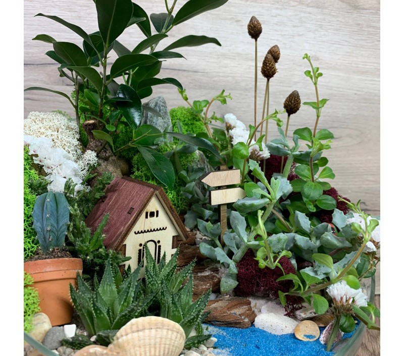 Флорариум "Мини-сад" "Домик у озера" с бонсаем - фикусом гинсенг и пеперомией арт. 078