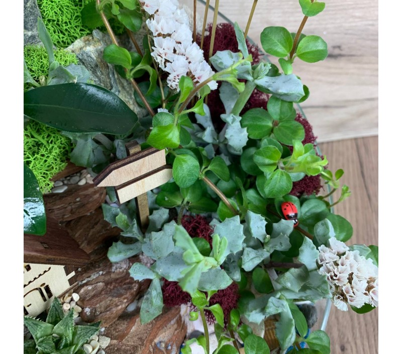 Флорариум "Мини-сад" "Домик у озера" с бонсаем - фикусом гинсенг и пеперомией арт. 078