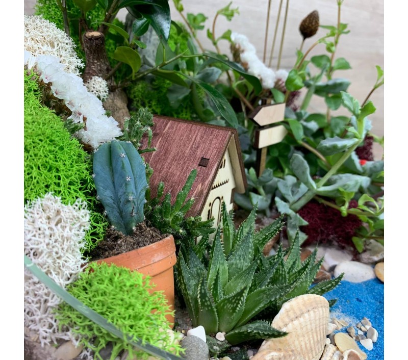 Флорариум "Мини-сад" "Домик у озера" с бонсаем - фикусом гинсенг и пеперомией арт. 078