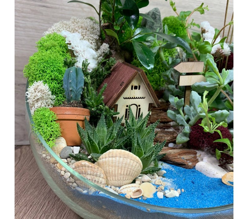 Флорариум "Мини-сад" "Домик у озера" с бонсаем - фикусом гинсенг и пеперомией арт. 078