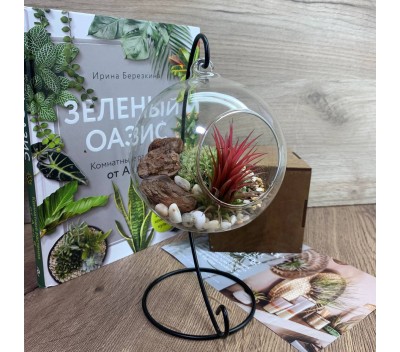 Флорариум-шар на подвесе с атмосферной тилландсией арт. 079