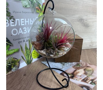Флорариум-шар на подвесе с атмосферной тилландсией арт. 080