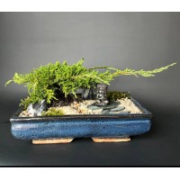 Композиция с бонсай можжевельником арт. 082