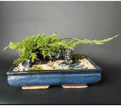 Композиция с бонсай можжевельником арт. 082