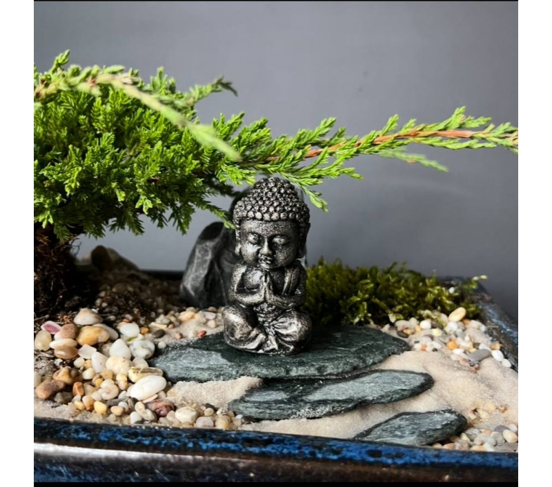 Композиция с бонсай можжевельником арт. 082